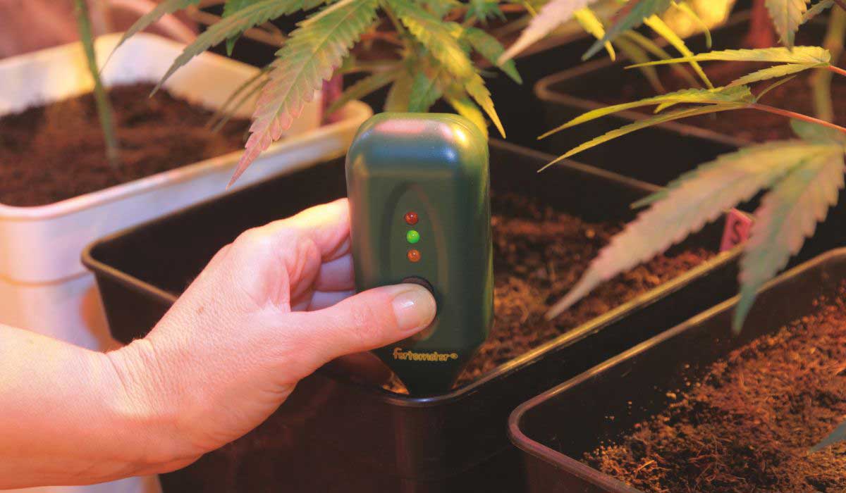 The essentials of cannabis growing: Choosing the right soil and nutrients for your grow space.