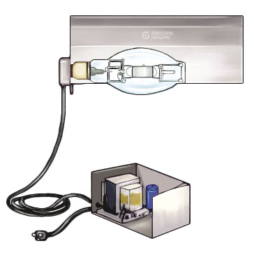 Enchufe múltiple conmutador luz/intermitentes/sensor de deposito, casquillo  3 posiciones Grado 1 - reparación perfecta