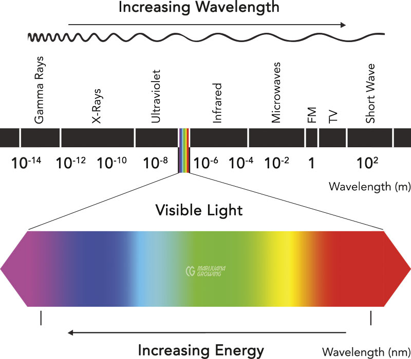 1 a 5 mts Tira adhesiva leds iluminación vagones. Blanco cálido o frío.